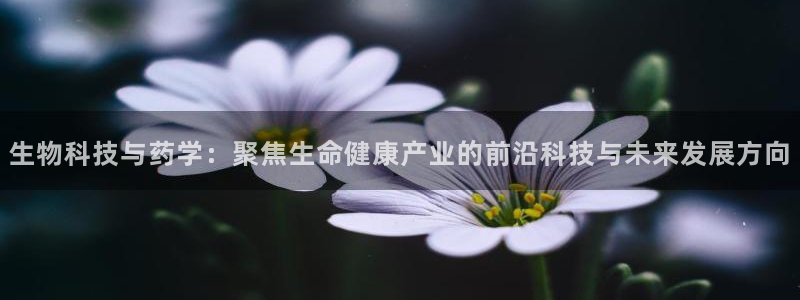 恒行娱乐5ll533主管优雅
