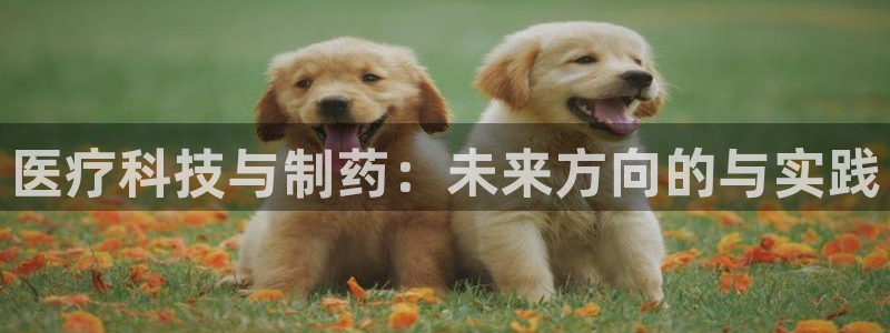 恒行娱乐5ll533主管正直