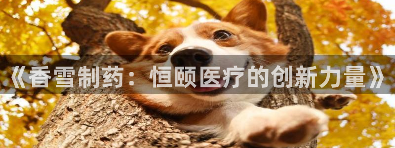 恒行开户娱乐赞议6ll5l