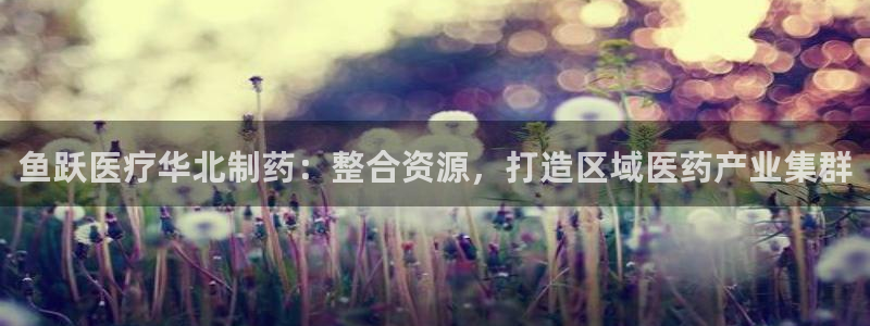 恒行注册招收6ll5l指定