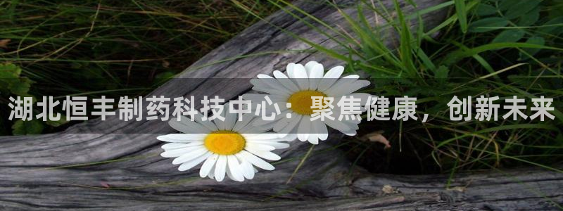 恒行娱乐河沂74ooo5程