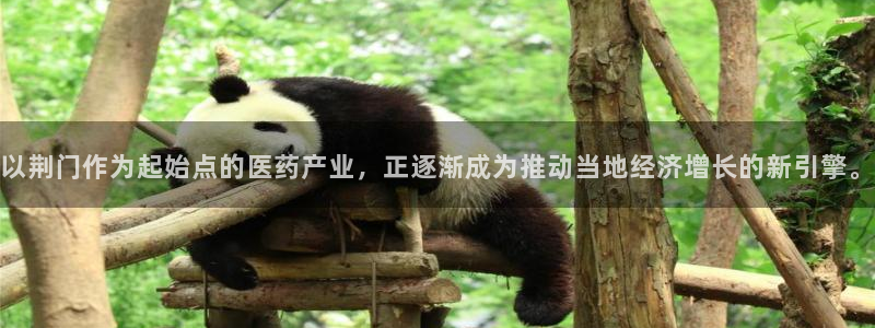 恒行娱乐招收点赞5ll533主管