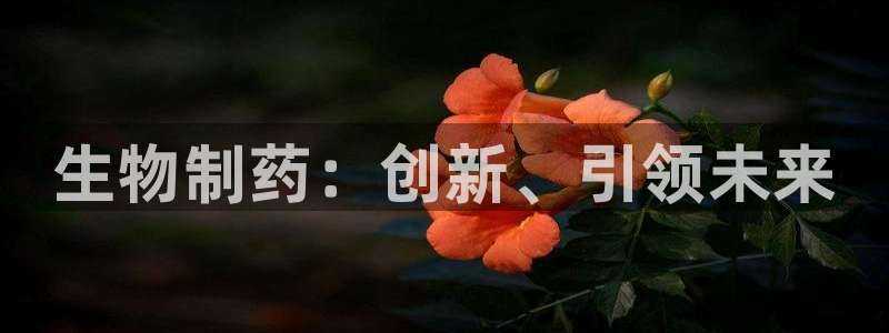 恒行主管总代6ll5l周至