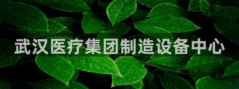 恒行注册全2O5O5O