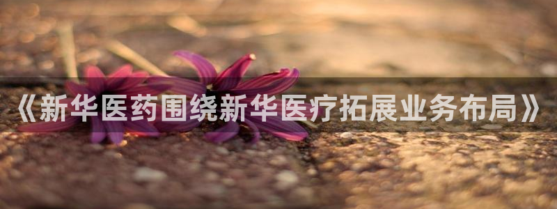 恒行主管总代6ll5l周至