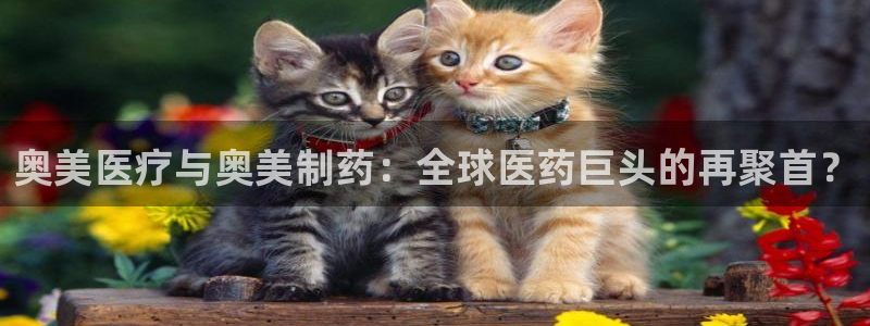 恒行娱乐景74ooo5诿抢