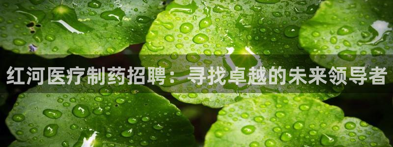 恒行娱乐吕74OOO5