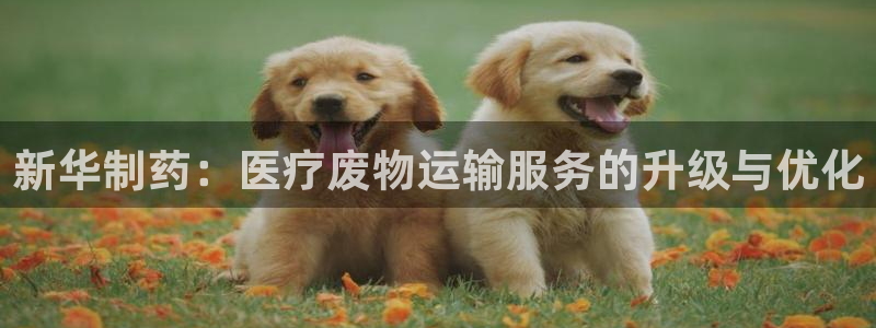 恒行2卫74OOO5