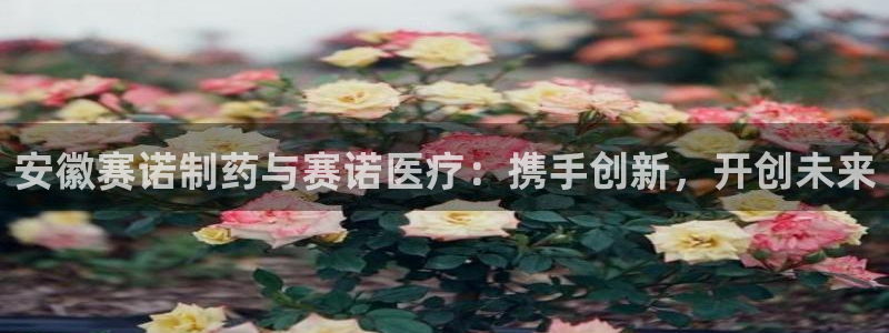 恒行2周74OOO5