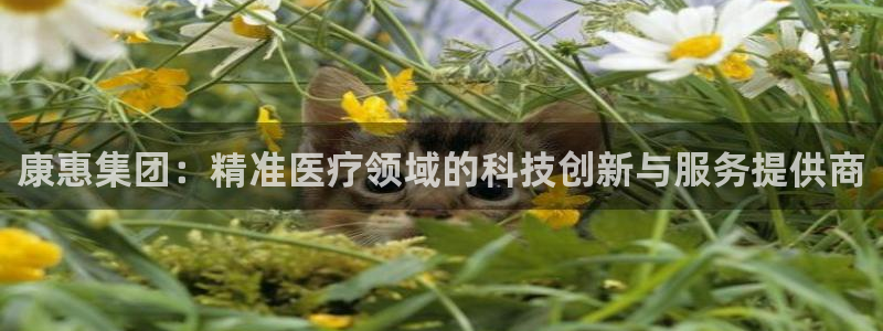 恒行娱乐5ll533主管优雅