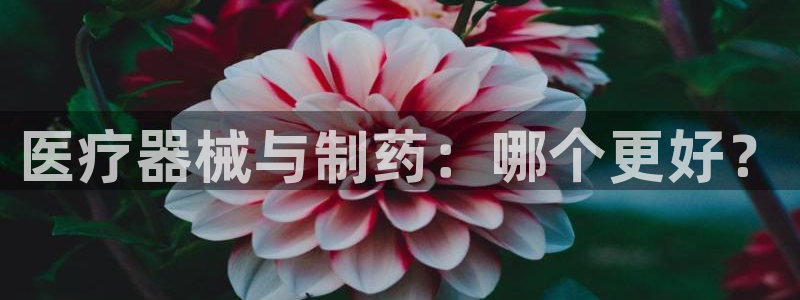 恒行代理总代主导 6ll5l