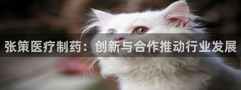 恒行主管首问6ll5l