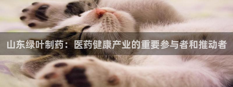 恒行娱乐热74ooo5主宰